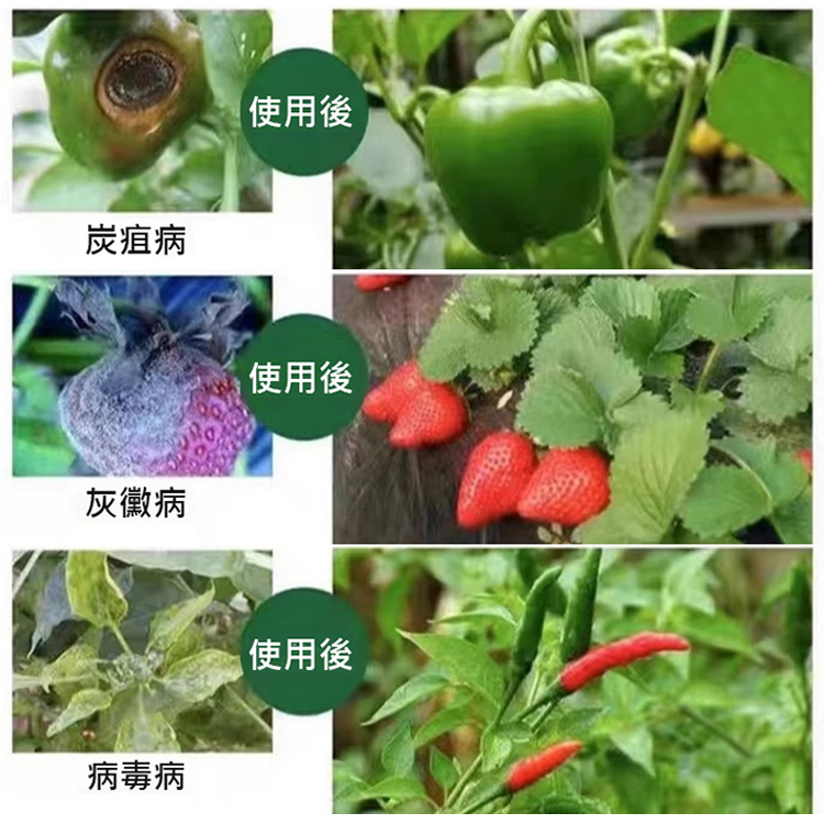 園藝廣譜殺菌消毒劑