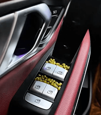 Honeycam 2025-05-19 16-56-07.gif