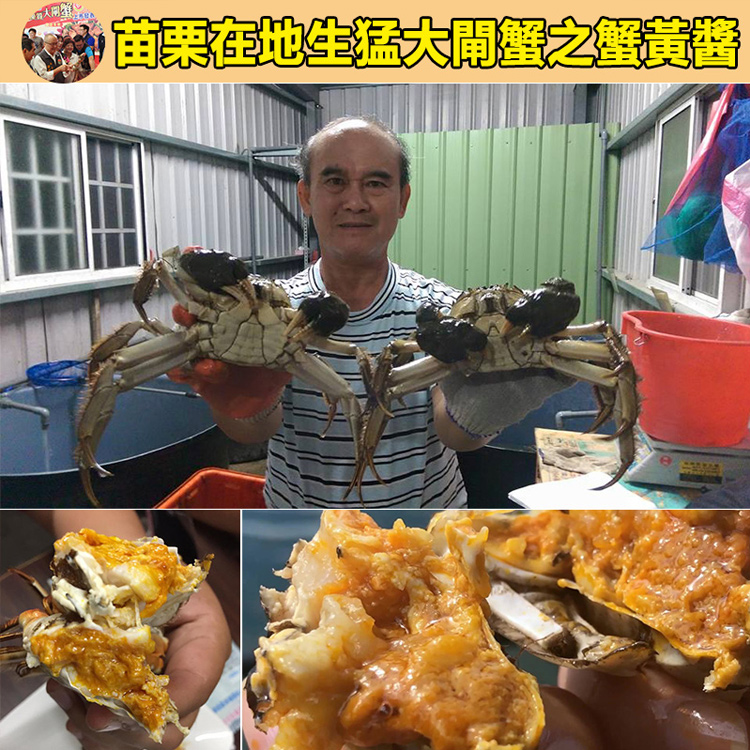 正宗深海特產，純手工熬制，鮮香可口，營養超讚, 蟹肉飽滿