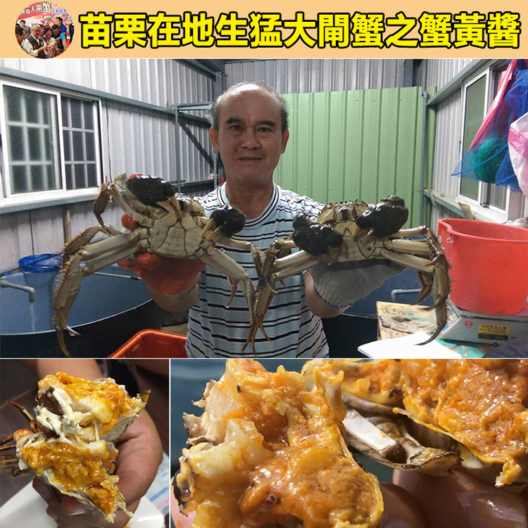 正宗深海特產，純手工熬制，鮮香可口，營養超讚, 蟹肉飽滿