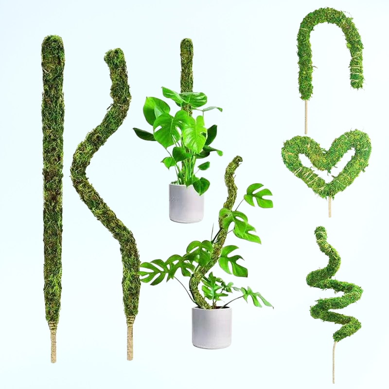 ขาตั้งไม้เลื้อยแบบโค้งงอได้ อุปกรณ์ทำสวน