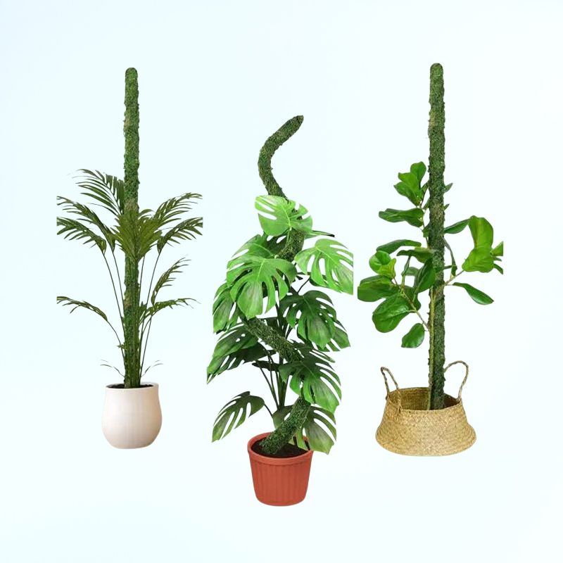 ขาตั้งไม้เลื้อยแบบโค้งงอได้ อุปกรณ์ทำสวน