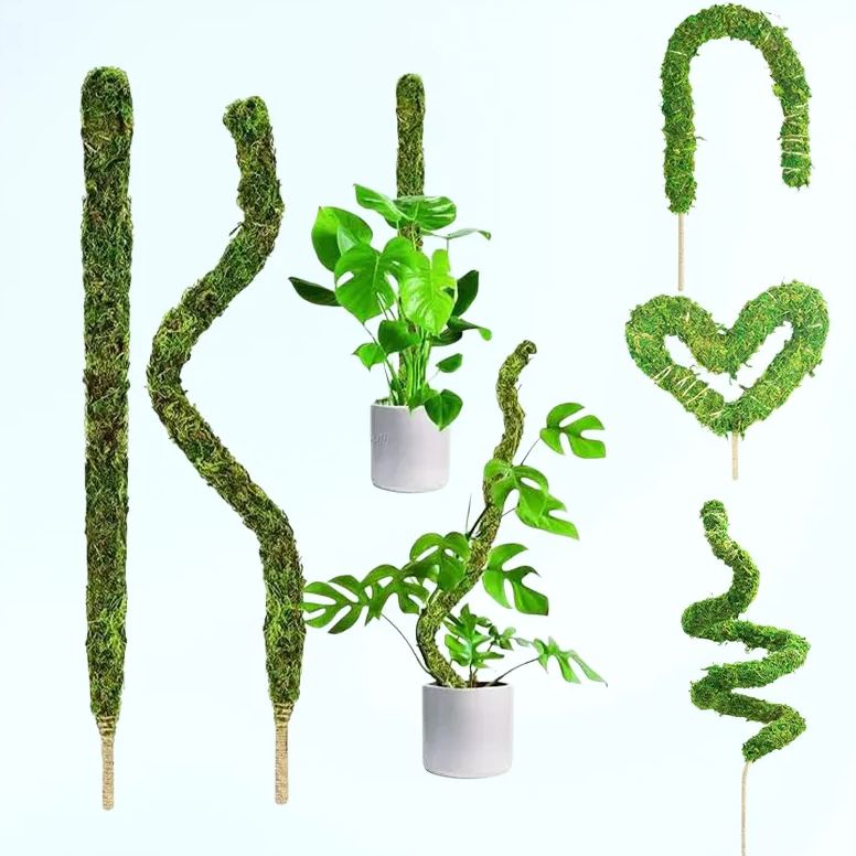 ขาตั้งไม้เลื้อยแบบโค้งงอได้ อุปกรณ์ทำสวน