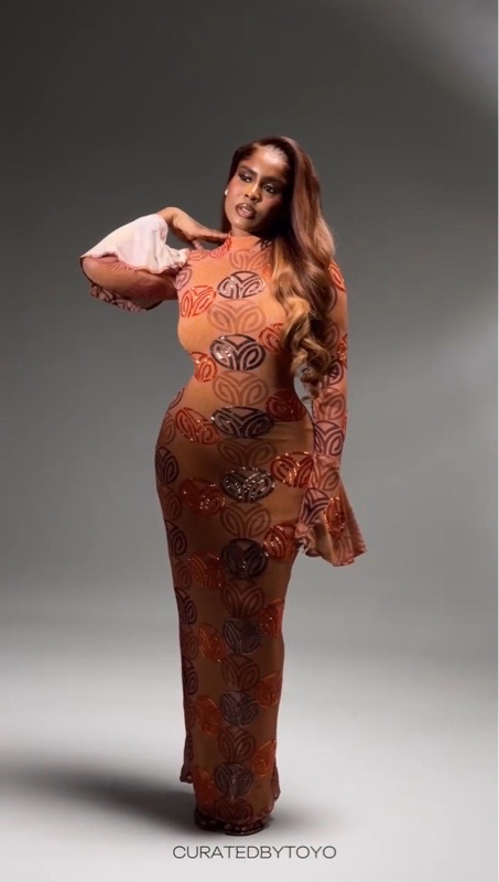 Ladies' Mesh Fabric dress