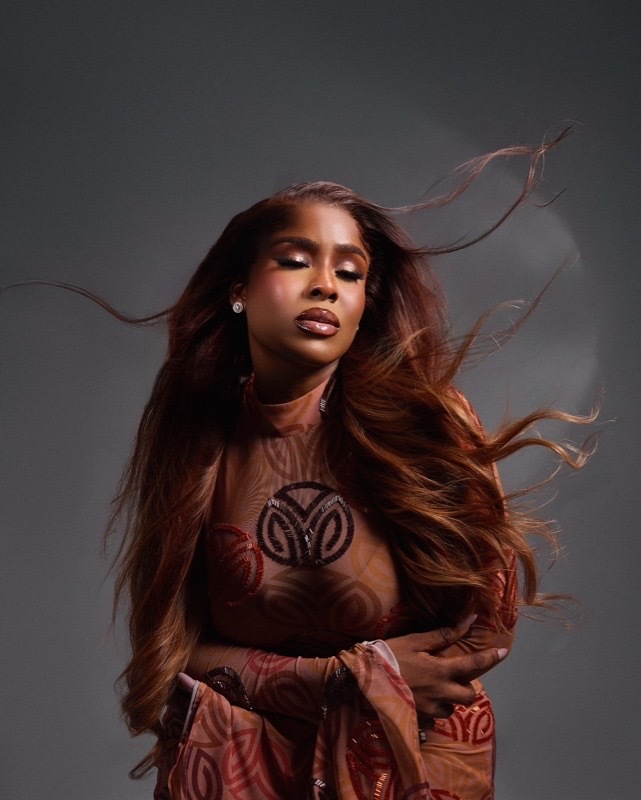 Ladies' Mesh Fabric dress