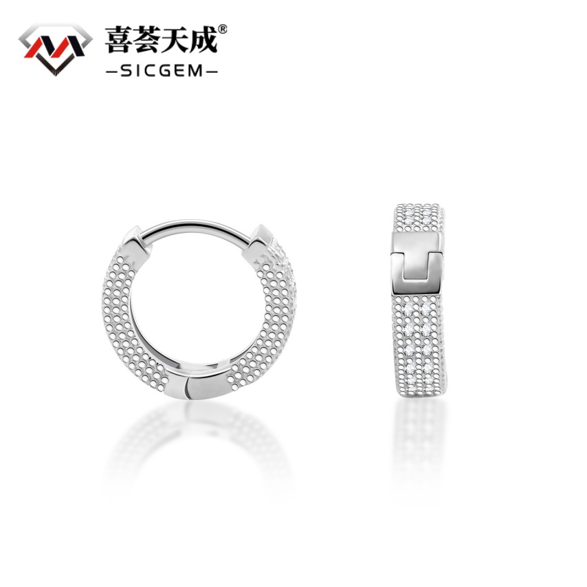 S925 Round VVS Synthetic Moissanite Iced Hoop Earring Birthday Mother's Day Gifts for Men Women