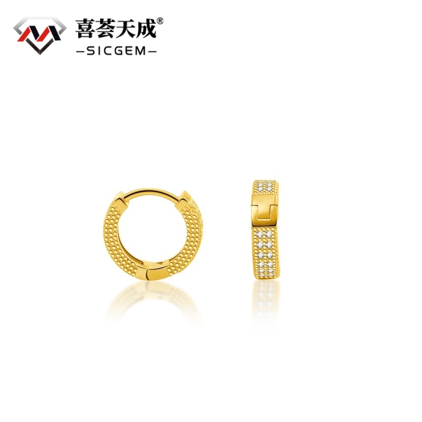 S925 Round VVS Synthetic Moissanite Iced Hoop Earring Birthday Mother's Day Gifts for Men Women