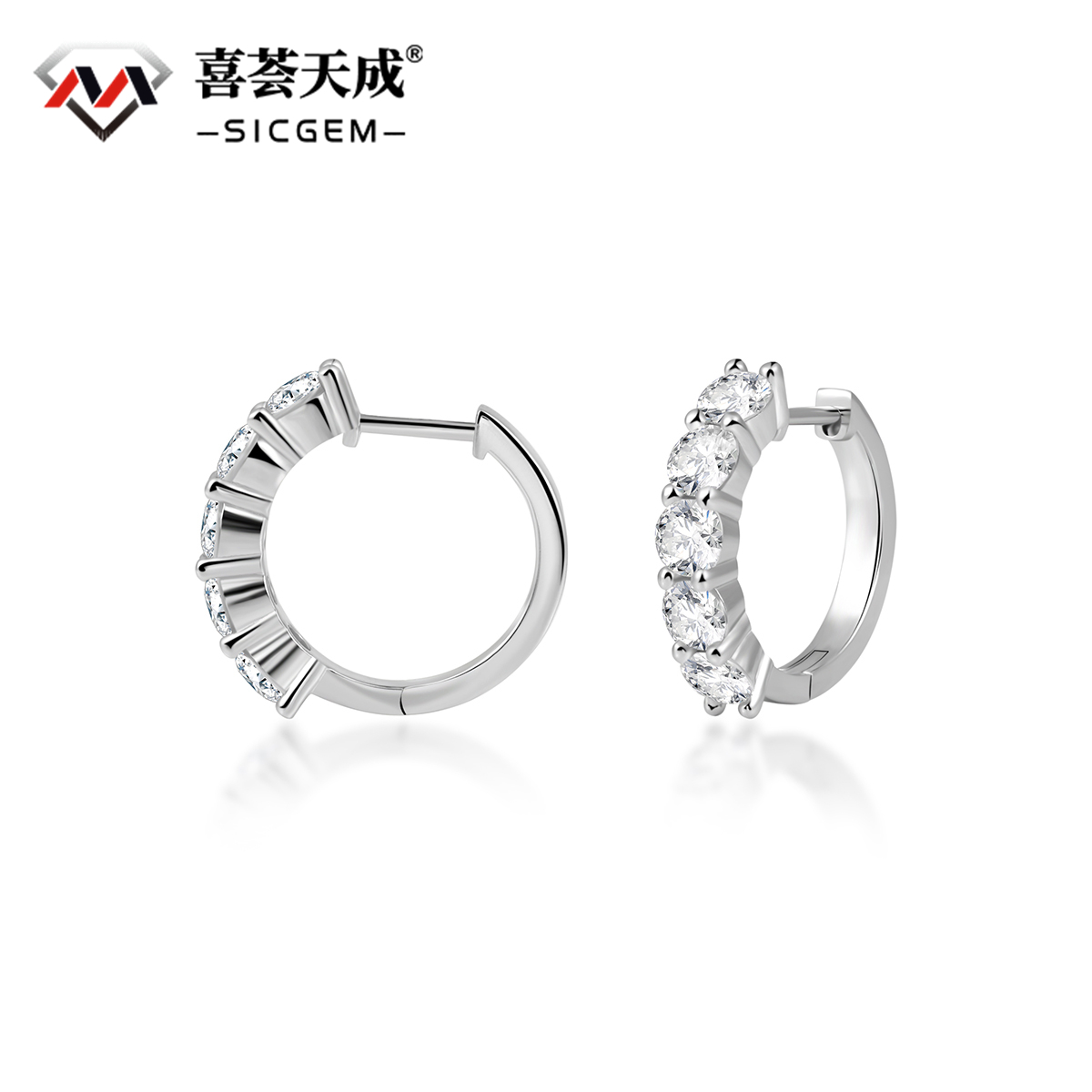 RINGFROST Half-Iced Circle Earrings 925S & VVS Moissanite