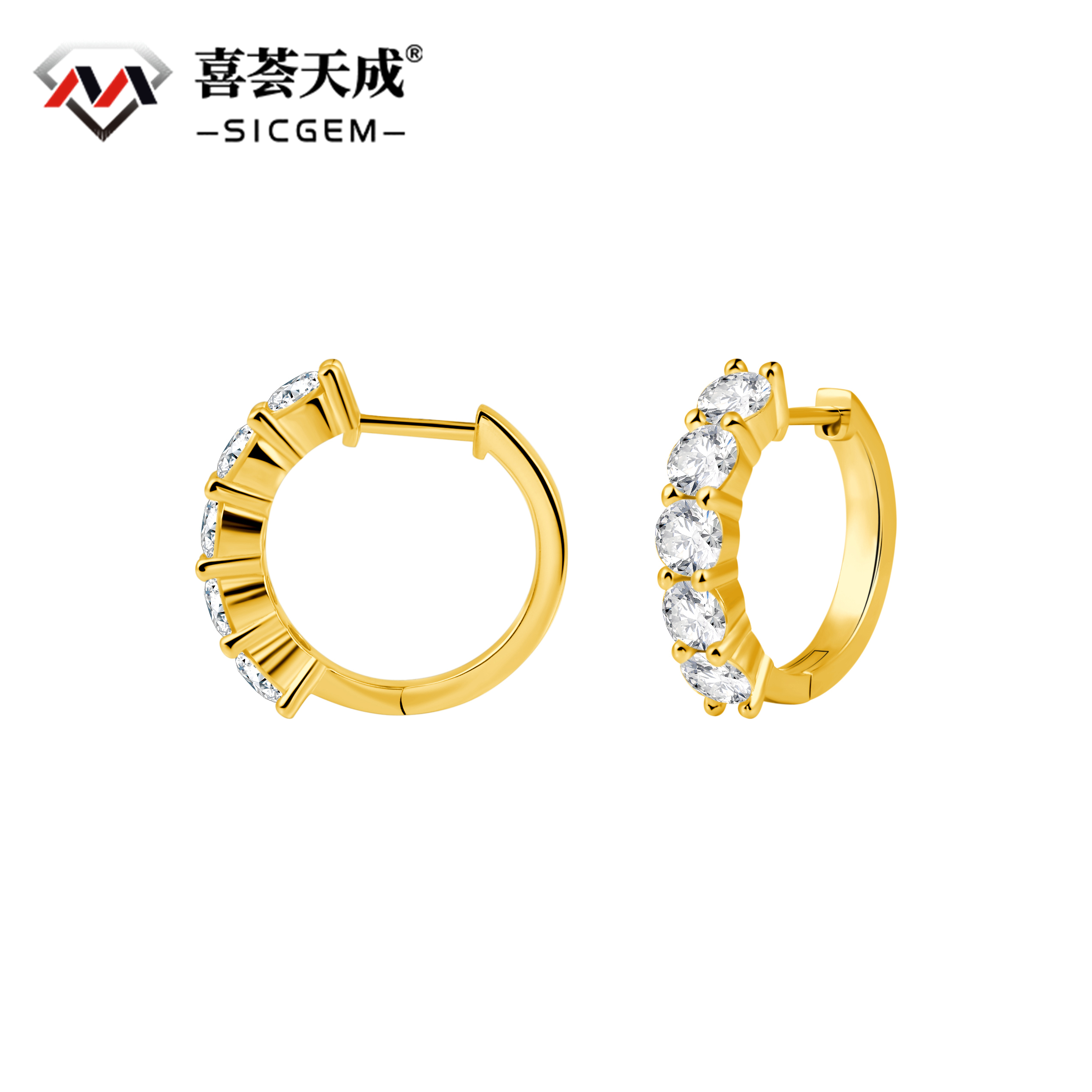 RINGFROST Half-Iced Circle Earrings 925S & VVS Moissanite