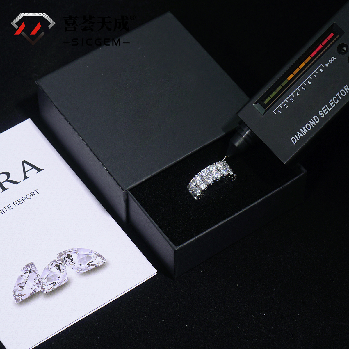 S925 Round VVS Synthetic Moissanite Double Row Eternity Hip Hop Ring