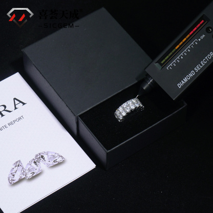 S925 Round VVS Synthetic Moissanite Double Row Eternity Hip Hop Ring