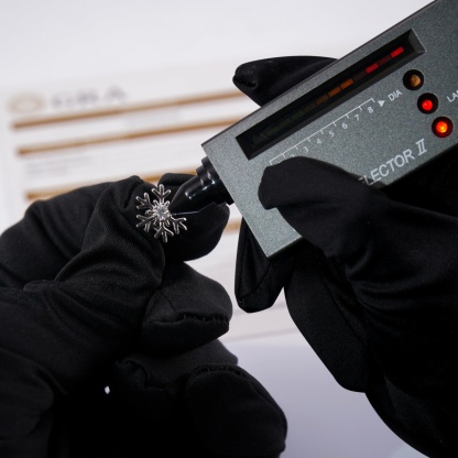 Delzzad Romantic Icy Snowflake Stud Earrings Synthetic Moissanite S925 Earring Jewelry Perfect Birthday Engagement Anniversary Christmas Gift