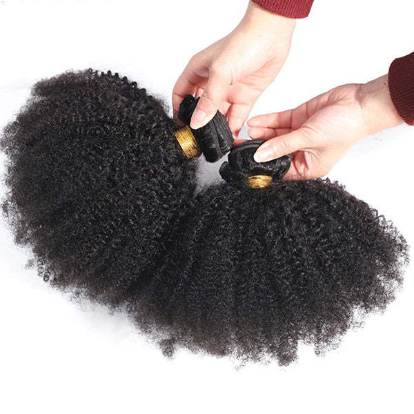 lumiere Hair Brazilian Afro Curly 2 Bundles Virgin Human Hair Bundle Deal Hair Extensions