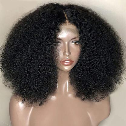 Afro Curly 4x4 Lace Closure Wigs Preplucked Human Hair Skin Melt Lace Wigs for Women