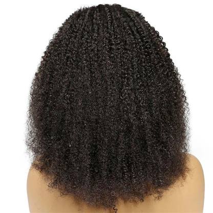 Afro Curly 4x4 Lace Closure Wigs Preplucked Human Hair Skin Melt Lace Wigs for Women