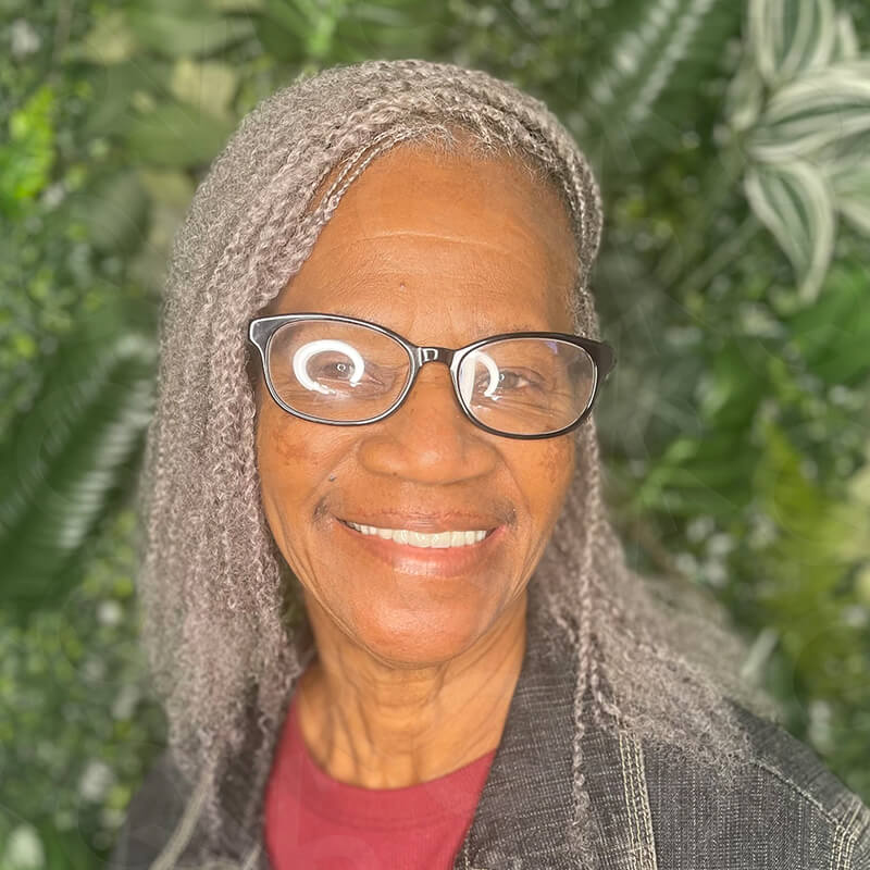 WIGARI Brazilian Grey Color Remy Hair Afro kinky Bulk Human Hair For Braiding Dreadlock Hair