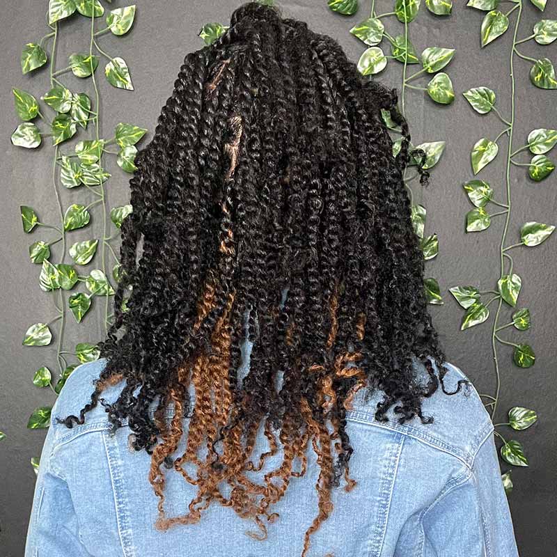 WIGARI 5 Packs Highlights Color Afro kinky Bulk For Braiding Dreadlock Hair