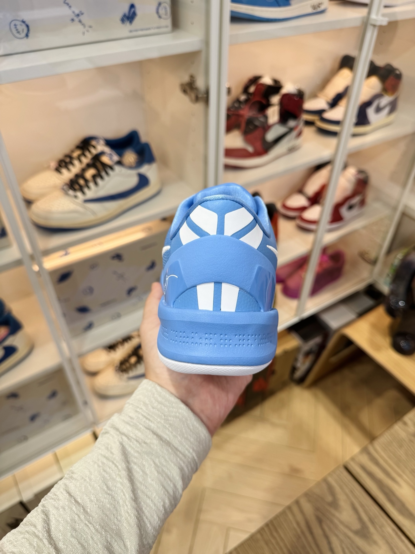 KOBE 8 Protro  TB P 團隊配色 北卡藍