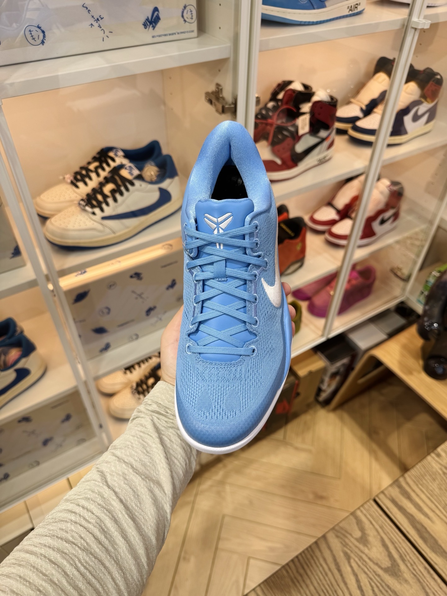 KOBE 8 Protro  TB P 團隊配色 北卡藍