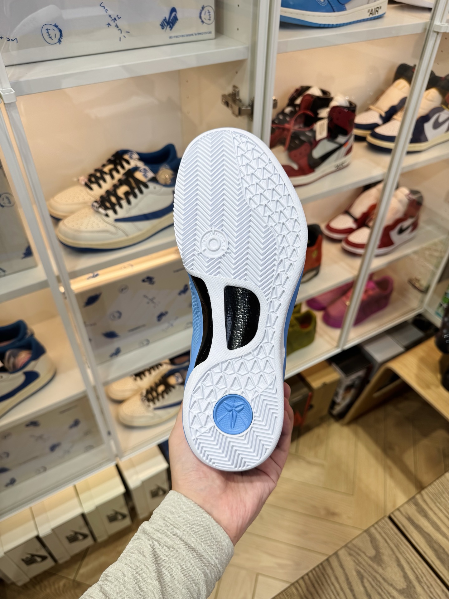 KOBE 8 Protro  TB P 團隊配色 北卡藍