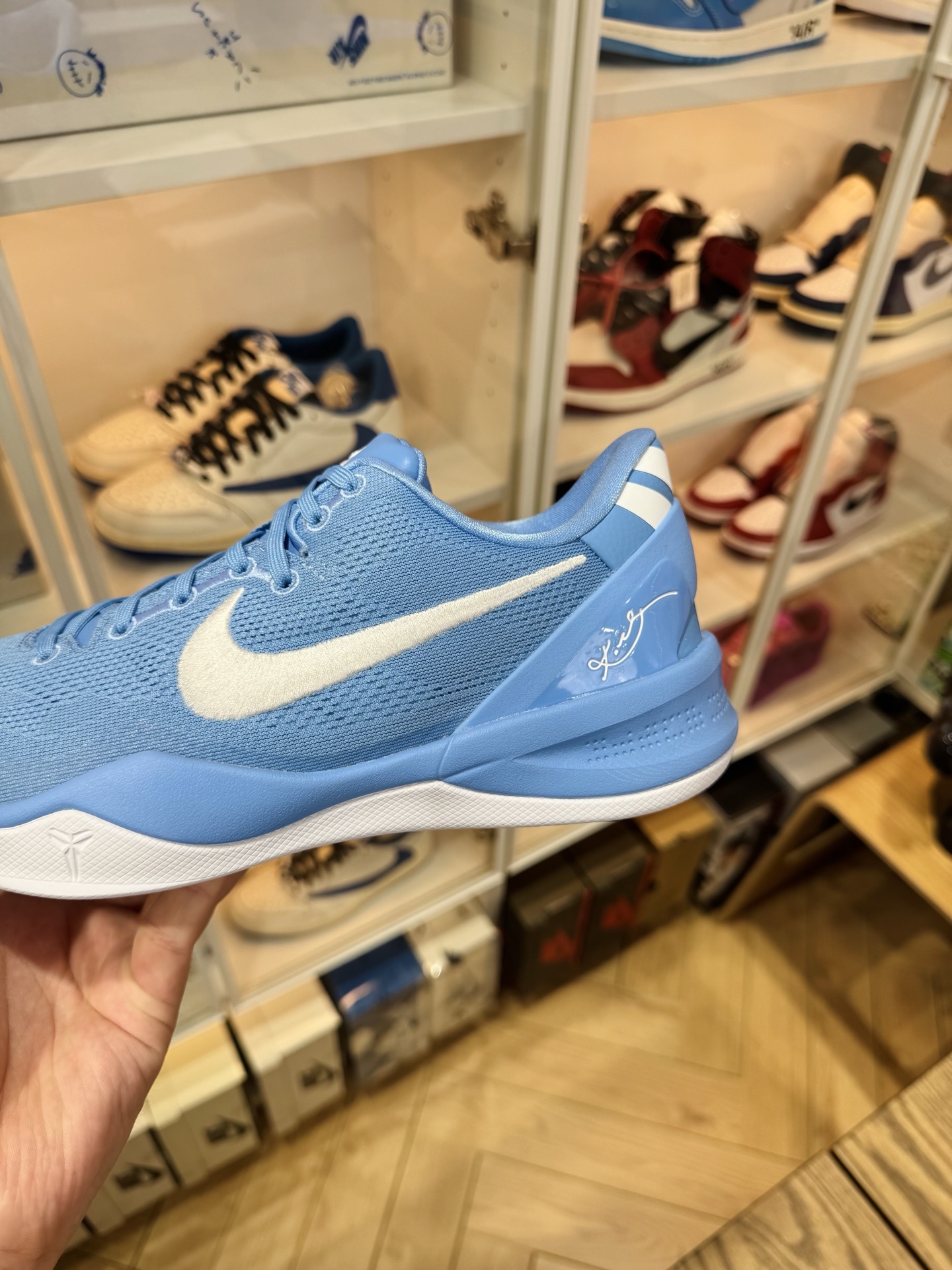 KOBE 8 Protro  TB P 團隊配色 北卡藍