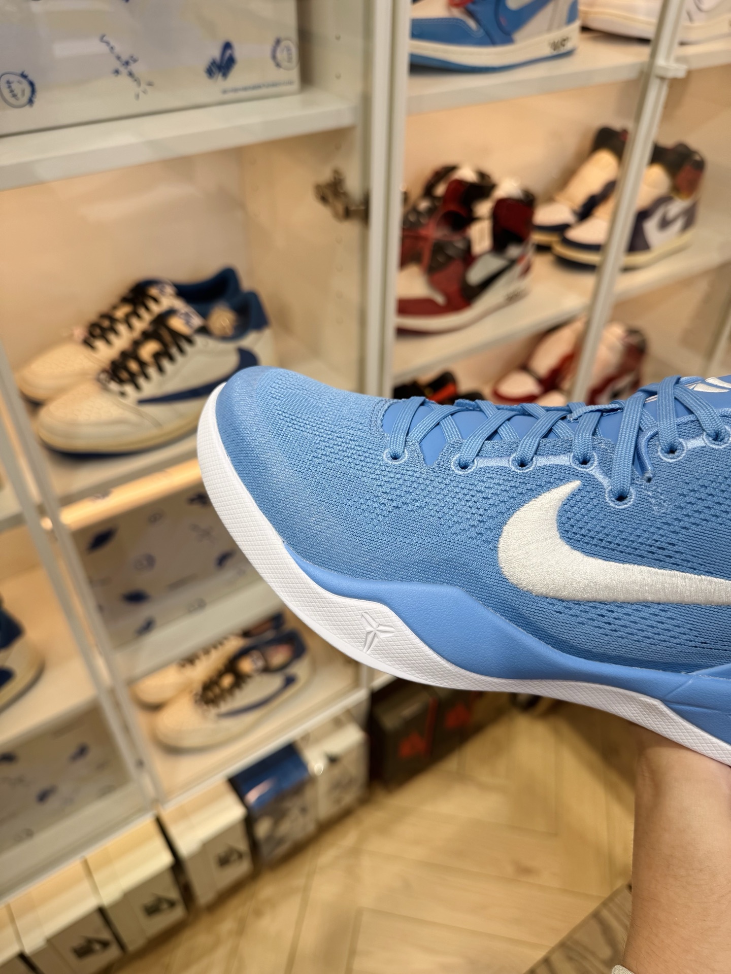 KOBE 8 Protro  TB P 團隊配色 北卡藍