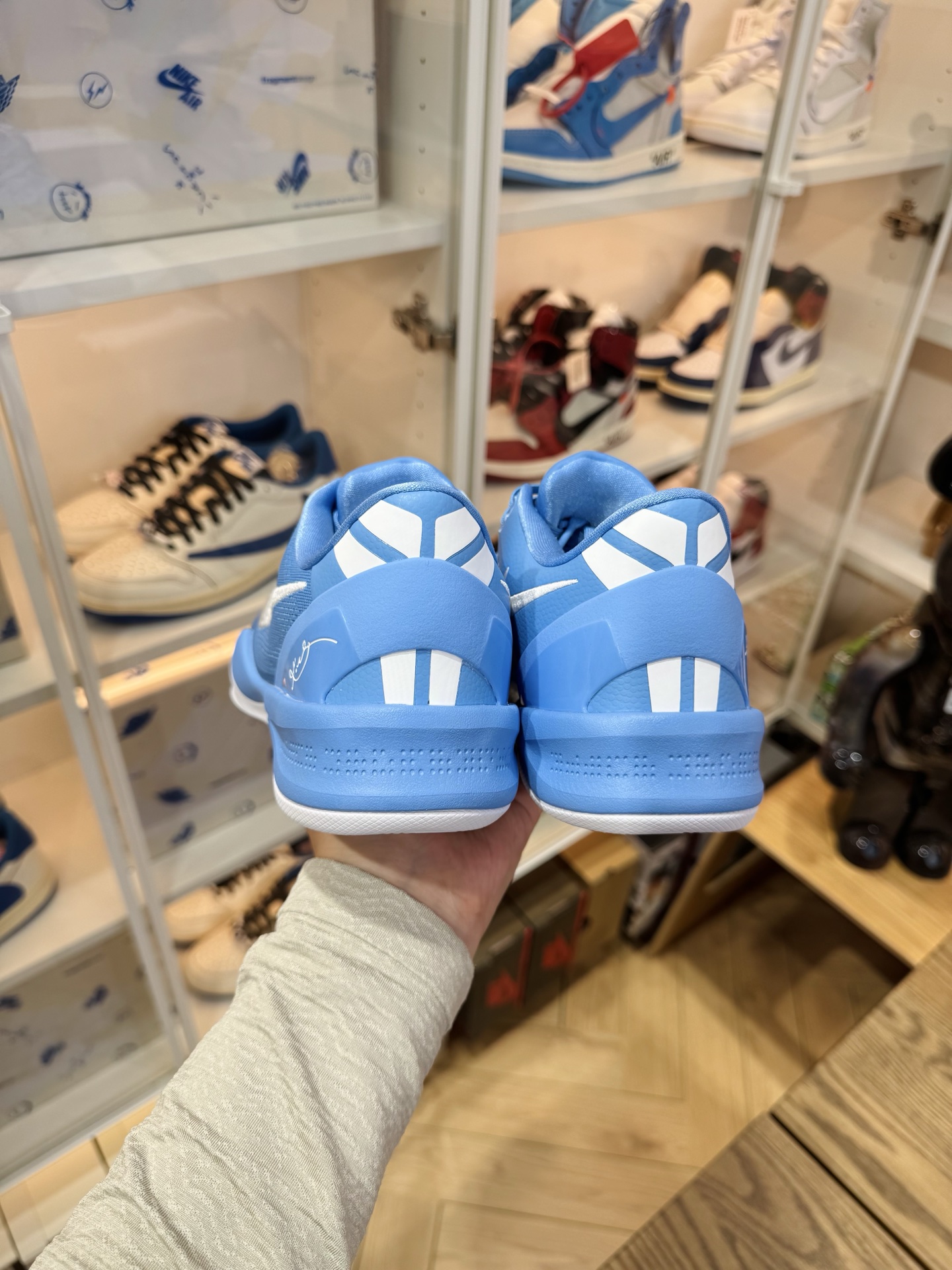 KOBE 8 Protro  TB P 團隊配色 北卡藍