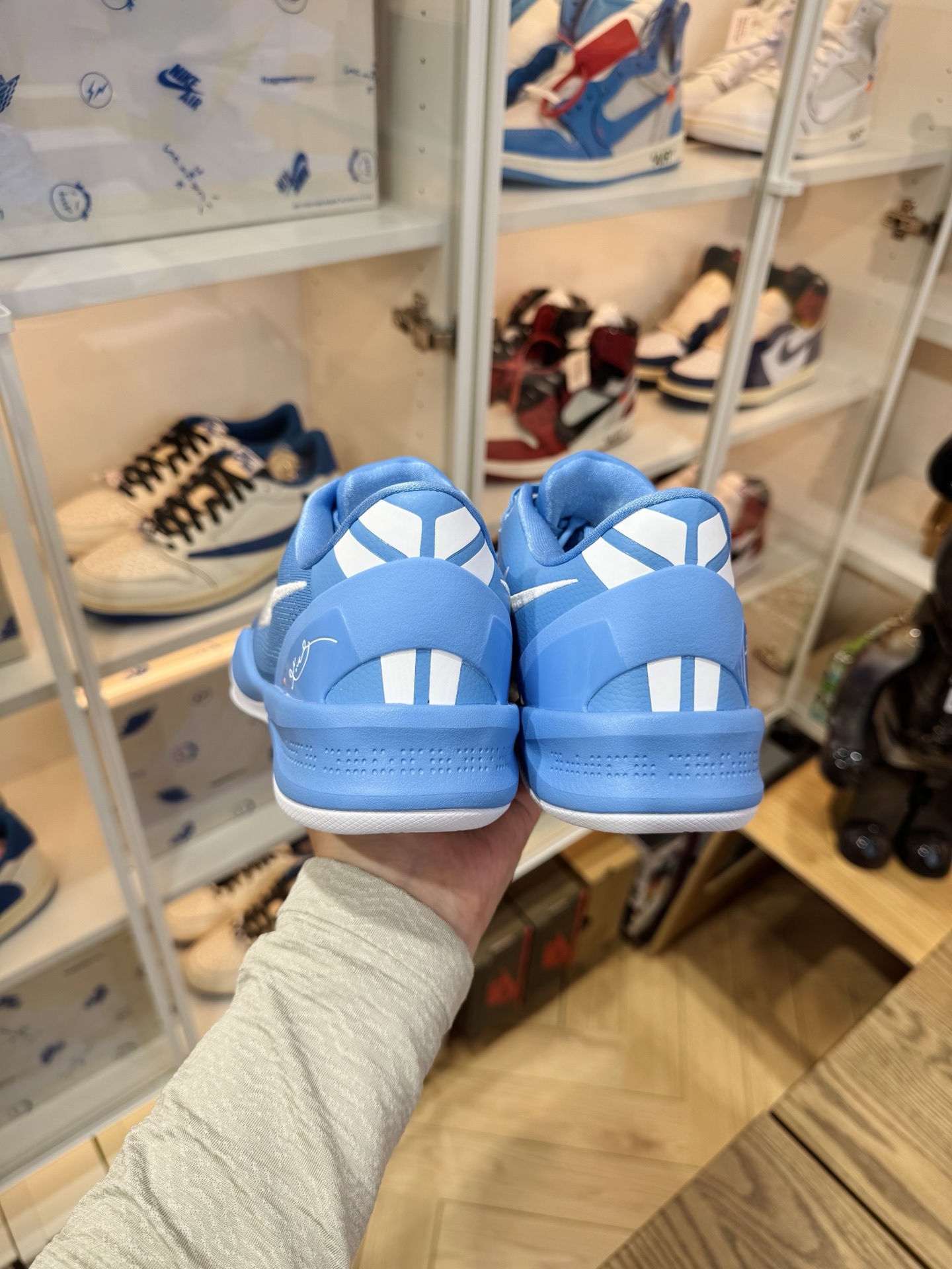 KOBE 8 Protro  TB P 團隊配色 北卡藍