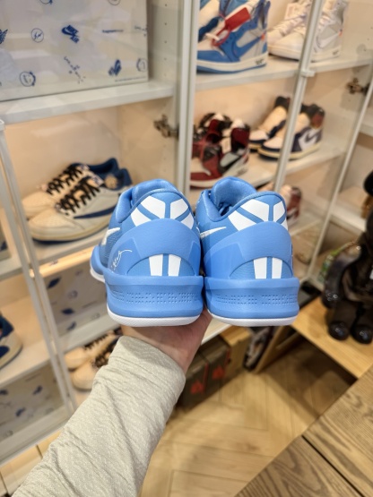 KOBE 8 Protro  TB P 團隊配色 北卡藍