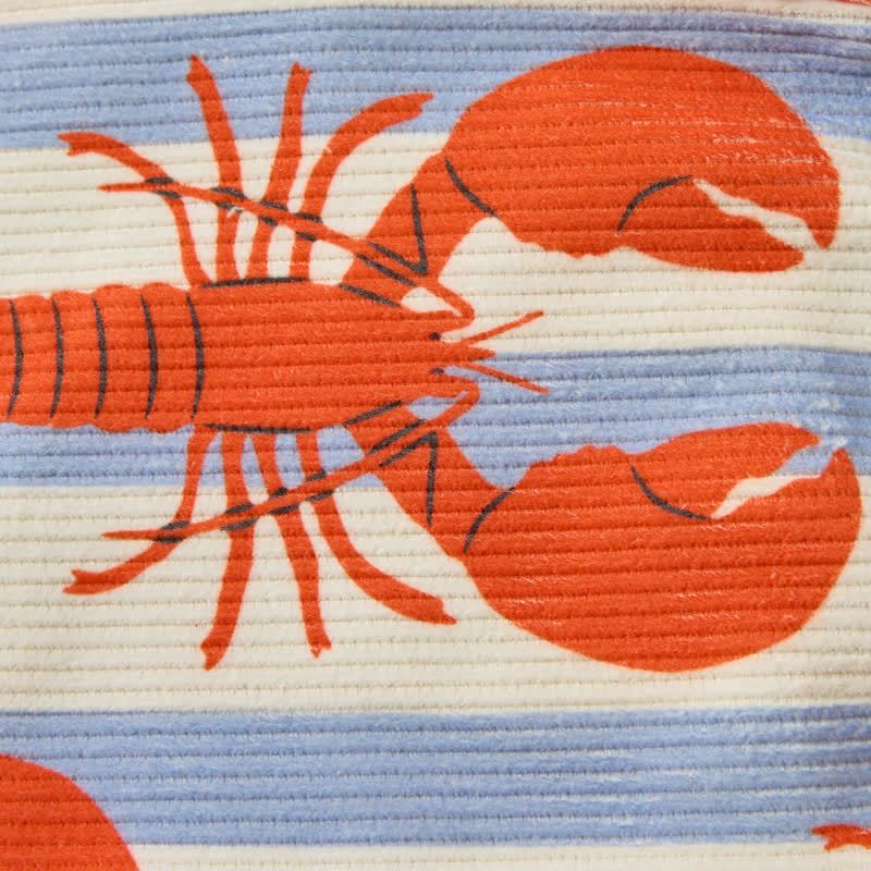 ベビー幼児用ベージュブルーホワイトストライプロブスターコードパンツ - image 6