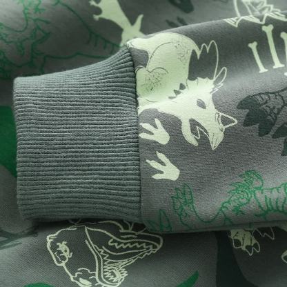 キッズボーイズ恐竜グレーグリーンスウェットシャツ - image 5