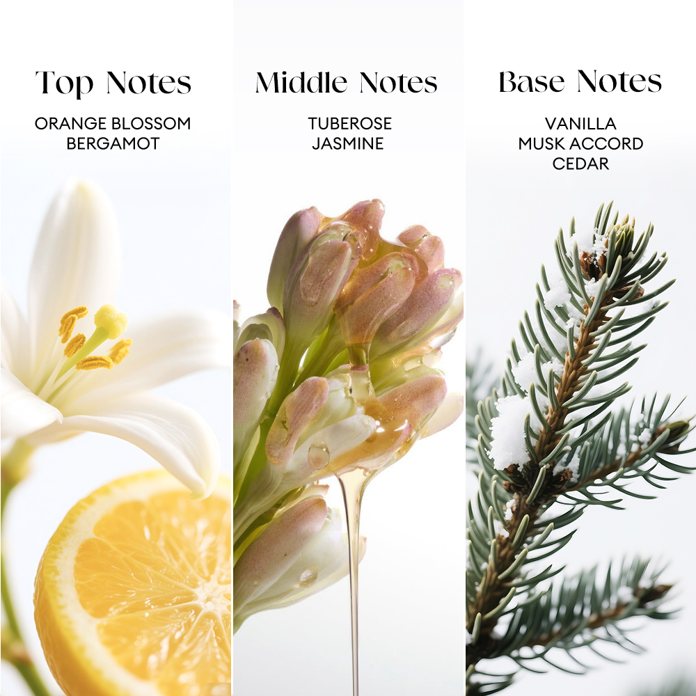 Perfume Long Lasting 12H Floral Orange blossom Jasmine Vanilla Musk Accord Cedar 50ML-O.TWO.O PH