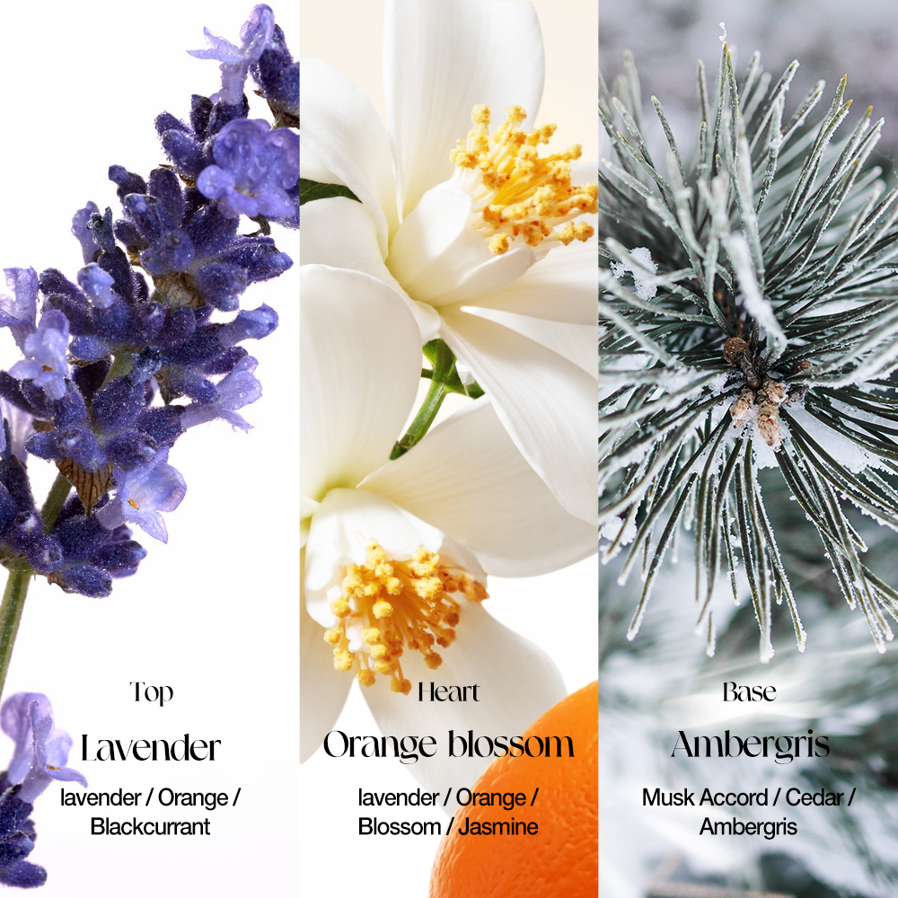 Perfume Long Lasting 12H Aromatic Oriental Lavender Orange Cedar Ambergris 50ML-O.TWO.O PH