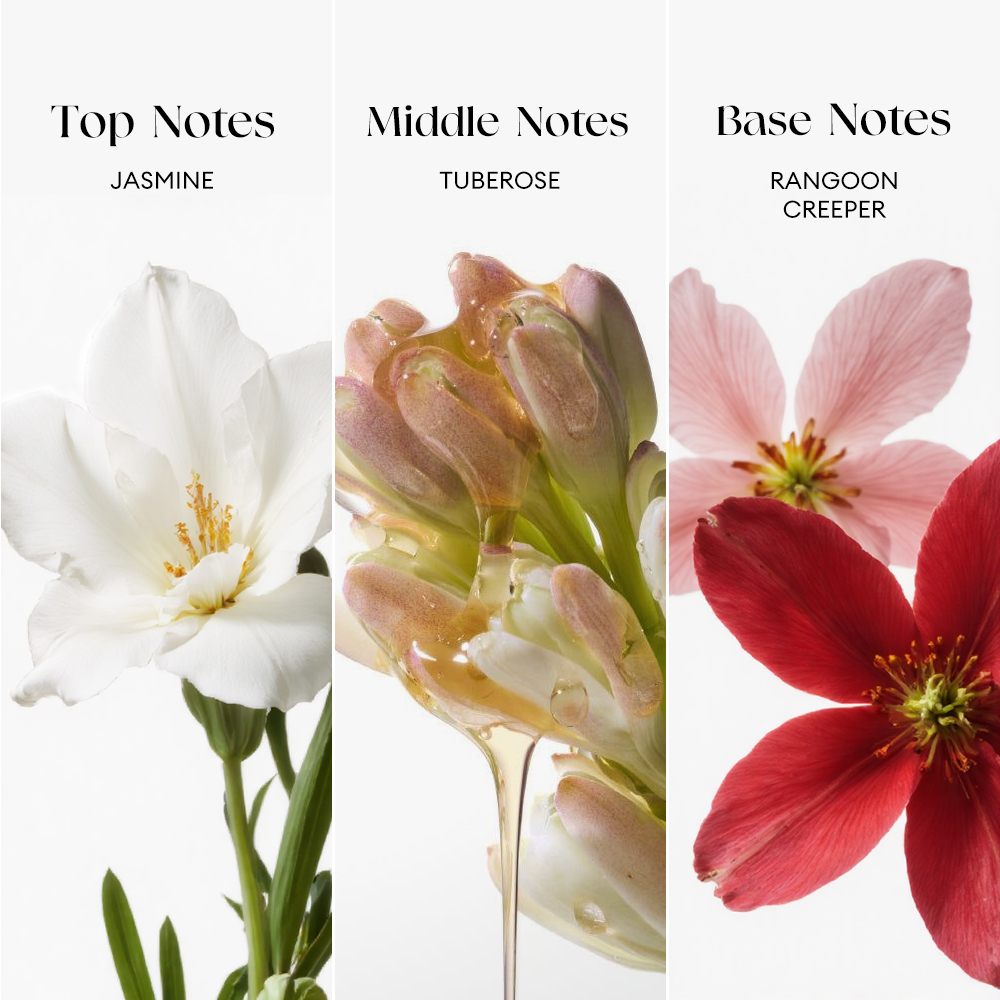 Perfume Long Lasting 12H Floral Jasmine Tuberose Rangoon Creeper Aromatic 50ML-O.TWO.O PH