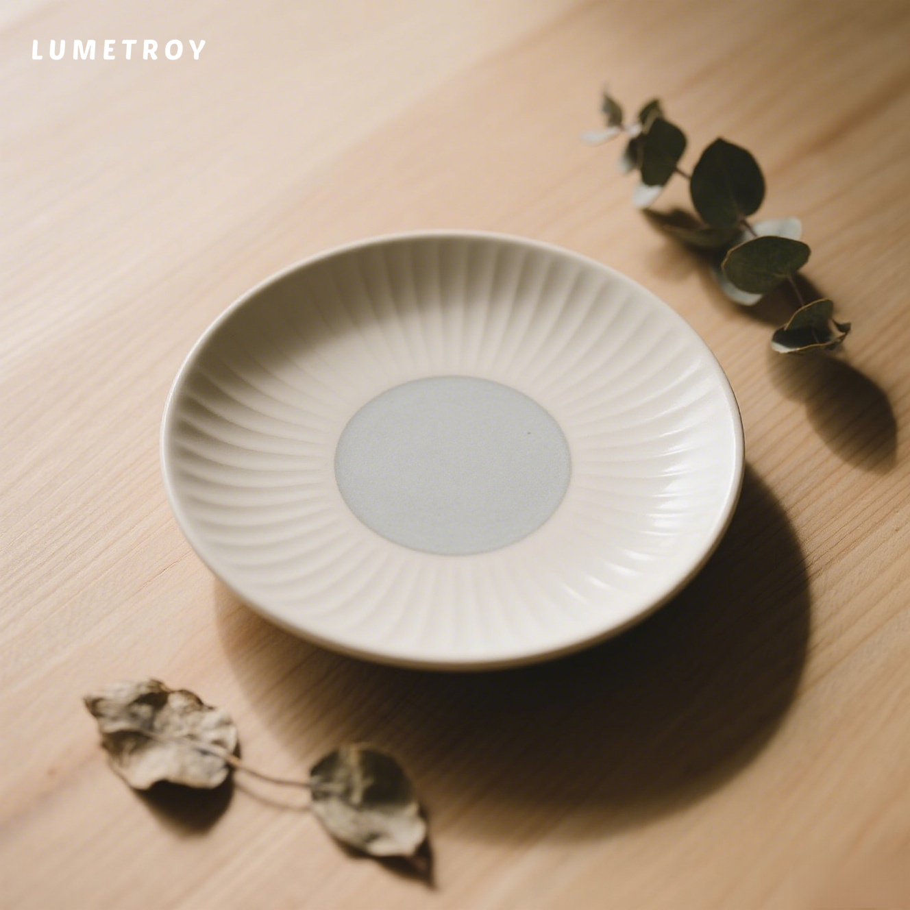 軽くて高級な陶器の皿