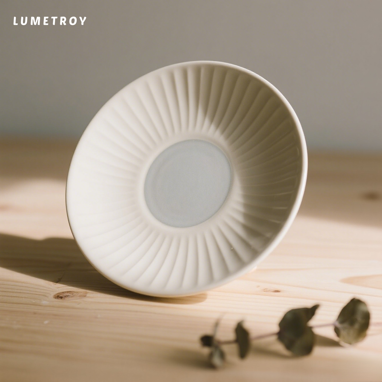 軽くて高級な陶器の皿