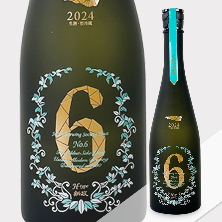 Aramasa No.6 H-type 2024【新政 No.6 H-Type 2024】