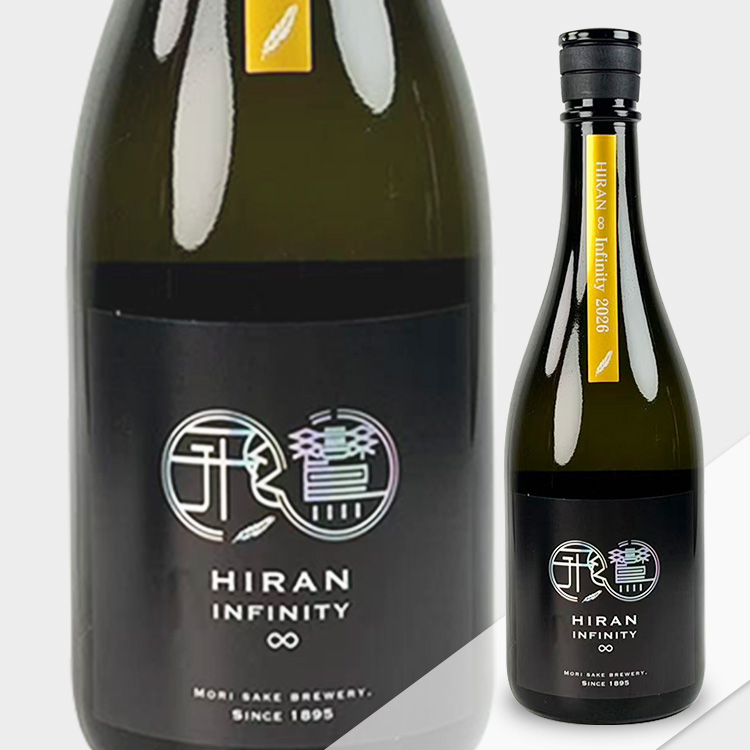 Hiran Infinity ∞ γ-type【飛鸞 Infinity ∞ γ-type】