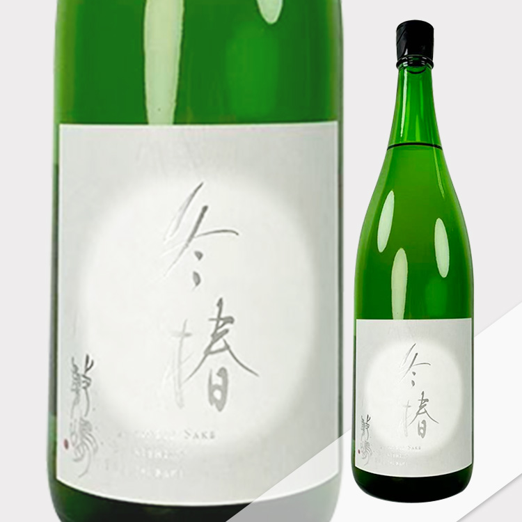 Shikishima Fuyutsubaki Muroka Nama Genshu Winter Limited【敷嶋 冬椿 無濾過生原酒 季節限定酒】