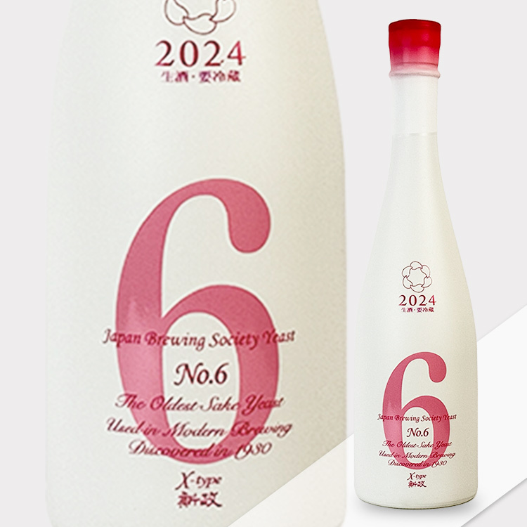 Aramasa No.6 X-Type	 【新政 No.6 X-Type 】