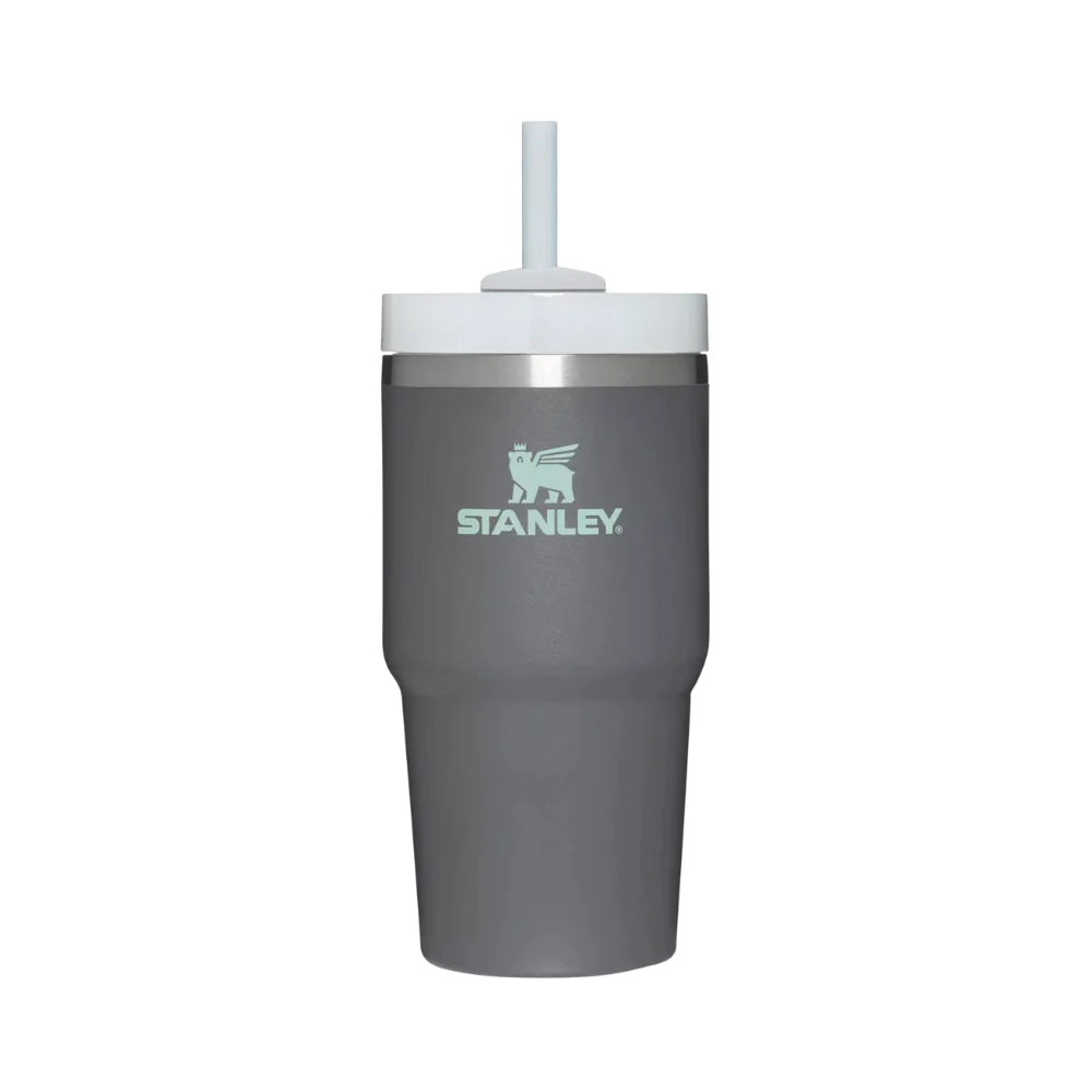 Stanley Adventure Quencher 2.0 Tumbler 20oz - Charcoal-Goritta Works Sdn. Bhd. 202501017603 (1619017-X)