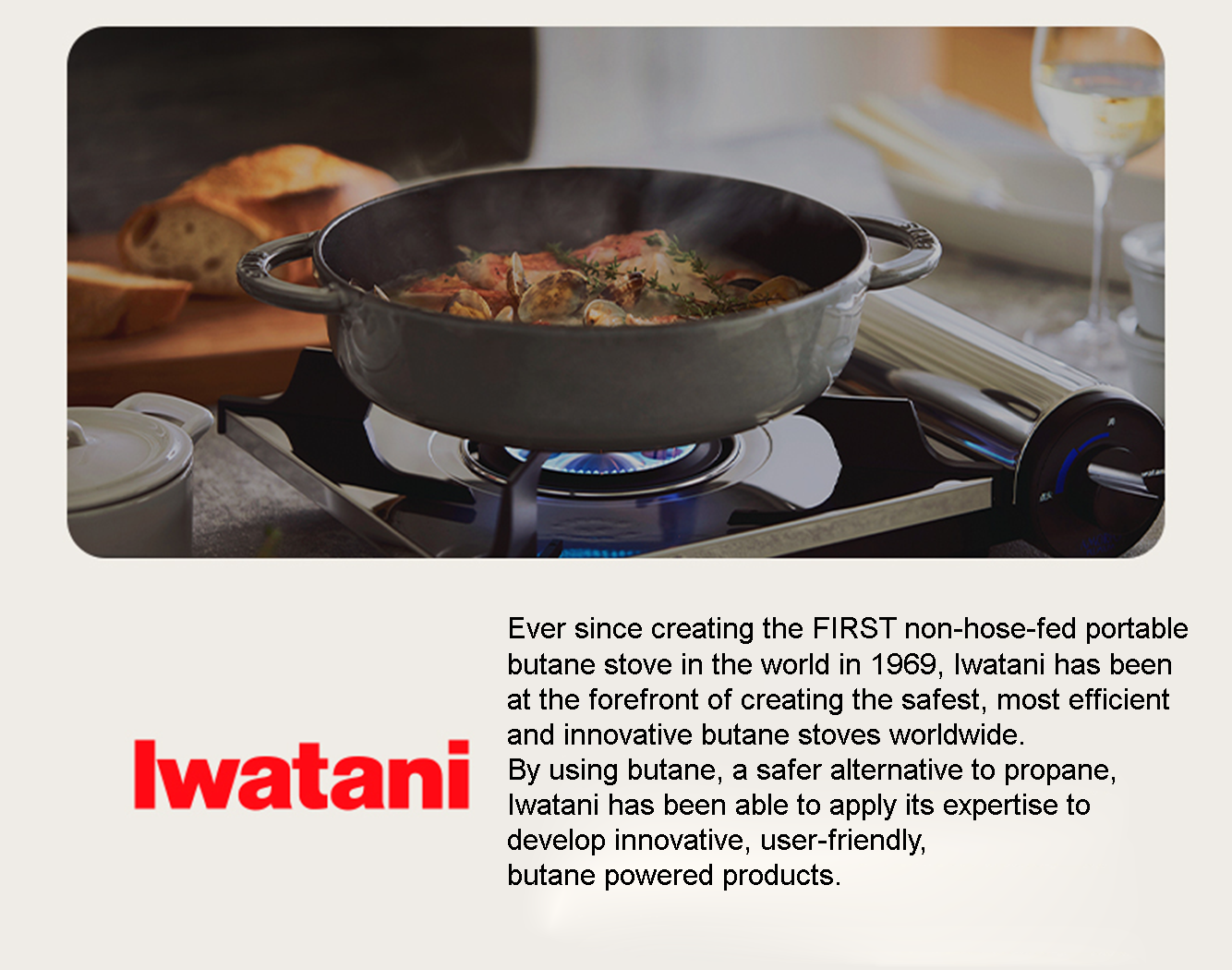 Mobi Garden x Iwatani Cassette Stove - Black-Goritta Works Sdn. Bhd. 202501017603 (1619017-X)