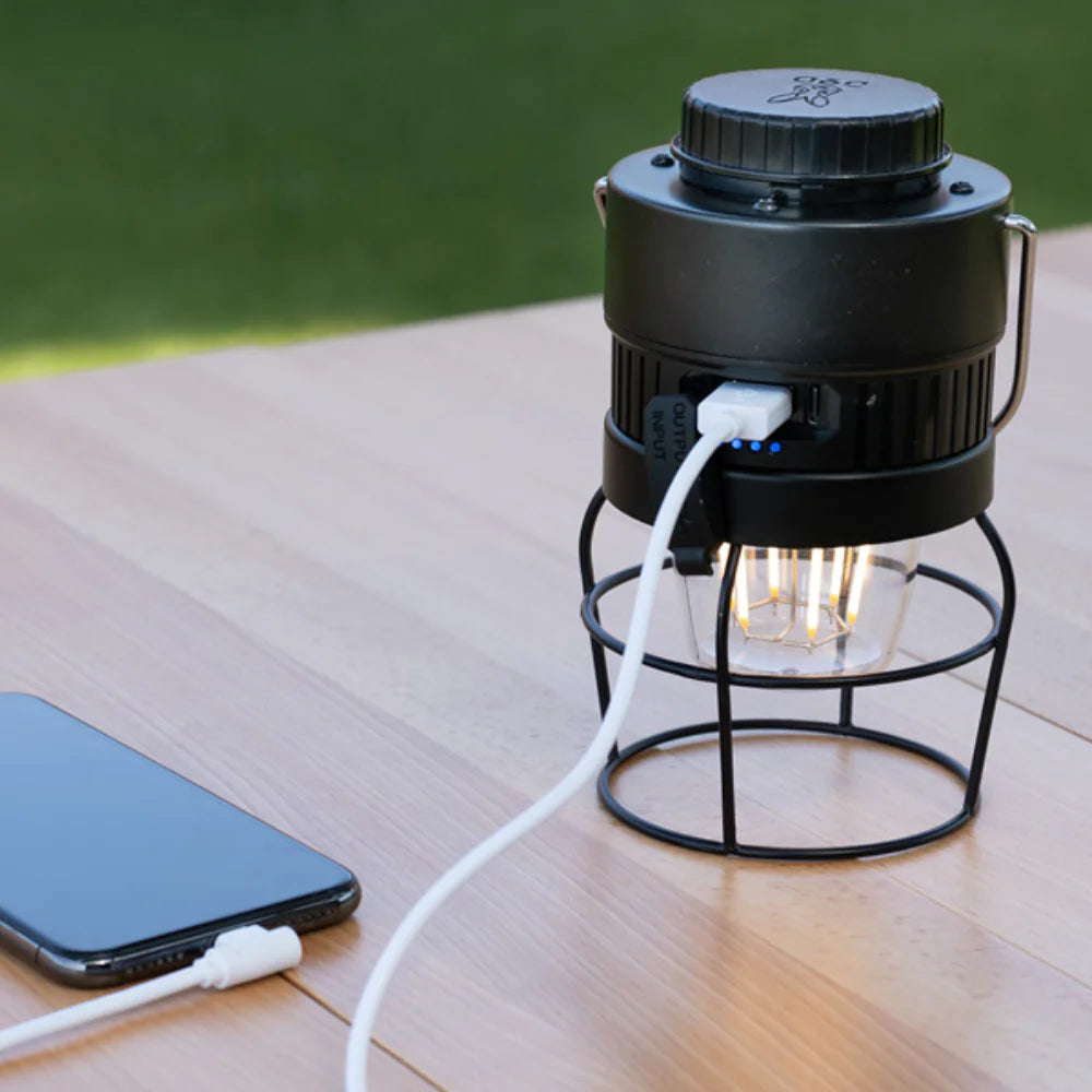 DoD Look At My Butt Lighting Lantern - Black