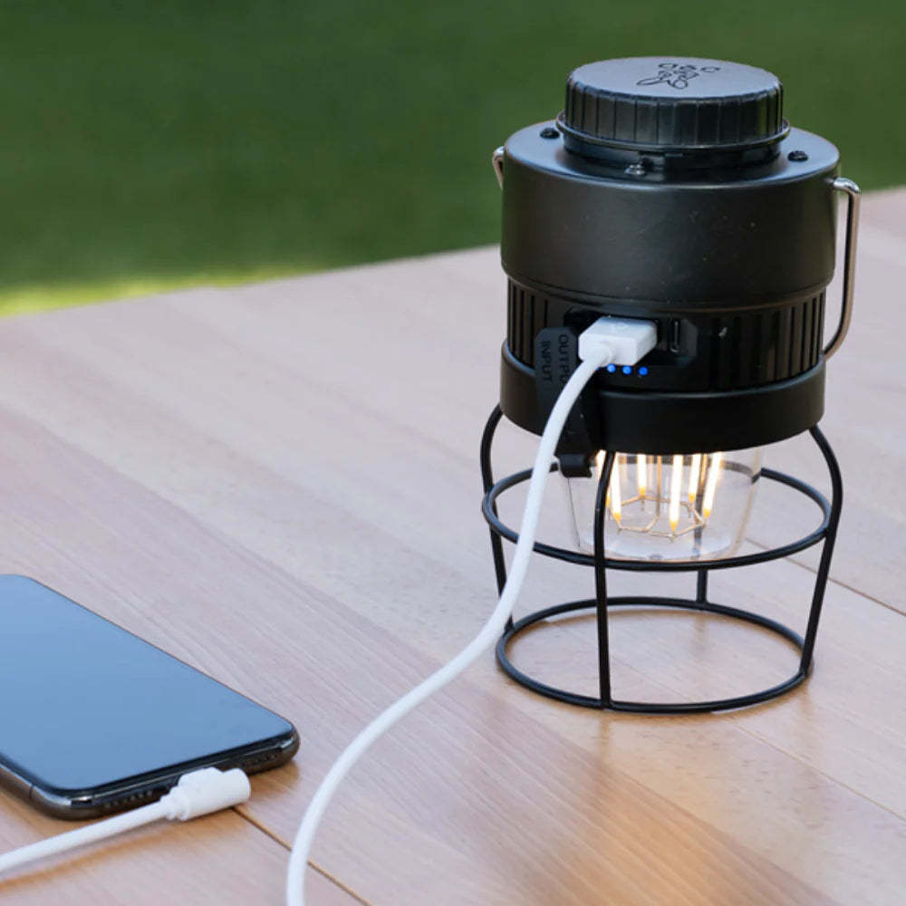 DoD Look At My Butt Lighting Lantern - Black