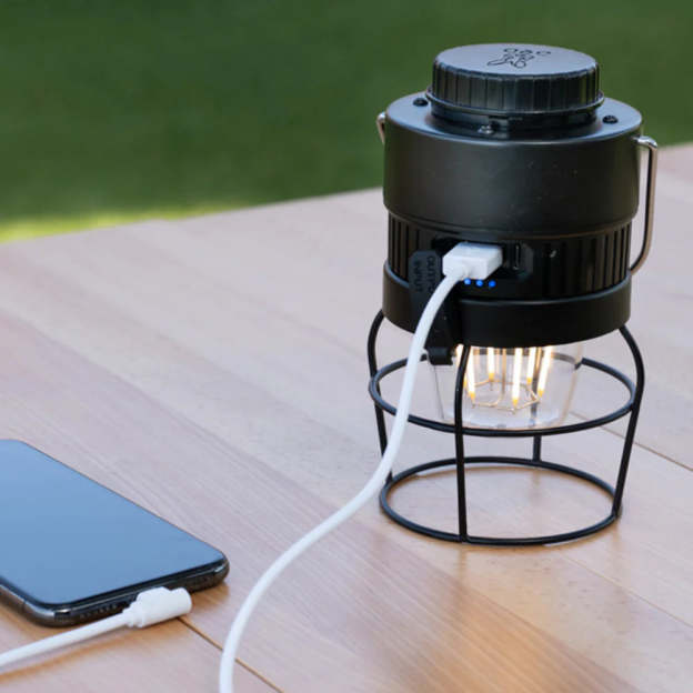 DoD Look At My Butt Lighting Lantern - Black