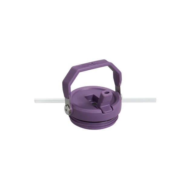 Stanley IceFlow Flip Straw Tumbler 30oz - Lilac-Goritta Works Sdn. Bhd. 202501017603 (1619017-X)