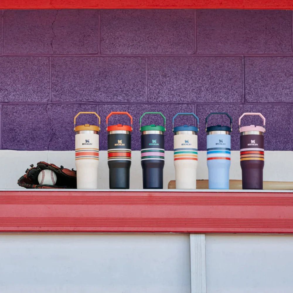 Stanley Adventure Varsity Iceflow™ Flip Straw 30oz Tumbler - Black Mesh-Goritta Works Sdn. Bhd. 202501017603 (1619017-X)