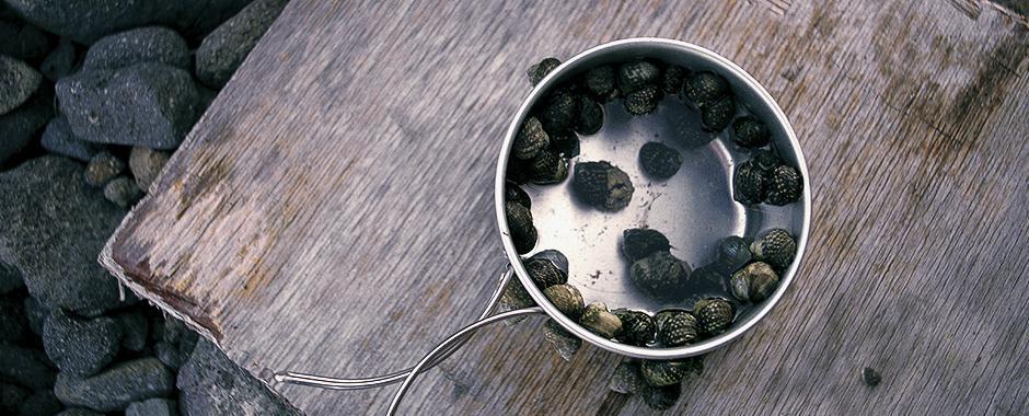 Snow Peak Multi Compact Cookset Titanium-Goritta Works Sdn. Bhd. 202501017603 (1619017-X)