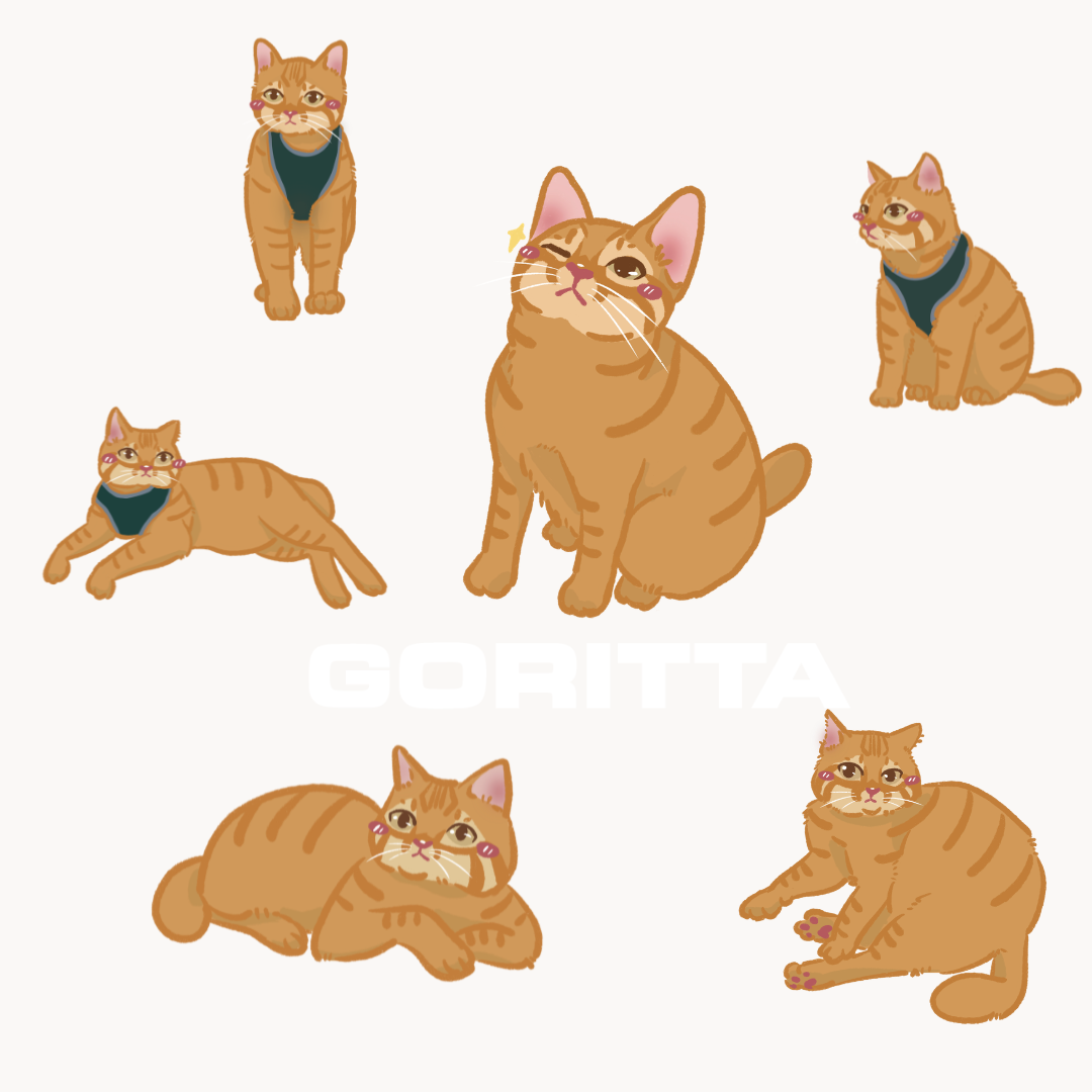 Meowritta Cat Sticker Pack - Goritta Exclusive 