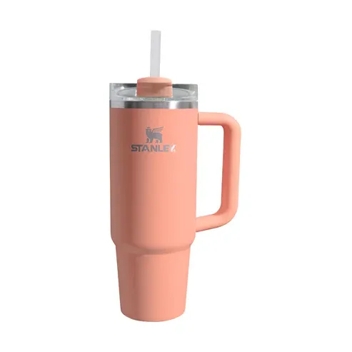 Stanley Quencher H2.0 FlowState™ Vacuum Insulated Tumbler 30oz - Melon